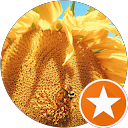 Randi M Avatar